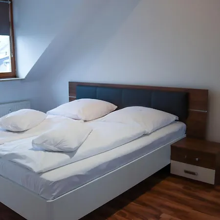Alexxanders Apartments & Studios Chemnitz Room photo
