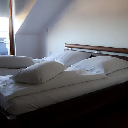 Alexxanders Apartments & Studios Chemnitz Room photo